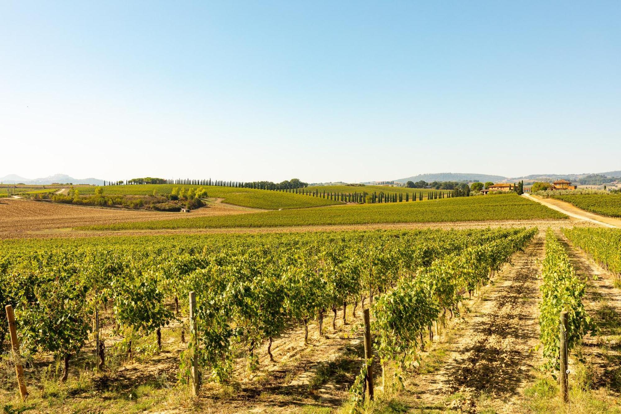 Montepulciano StazioneVermentino别墅 外观 照片